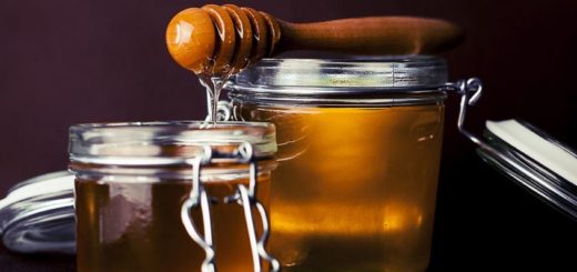 O mel de abelha brasileiro é o melhor e mais usado na alta gastronomia