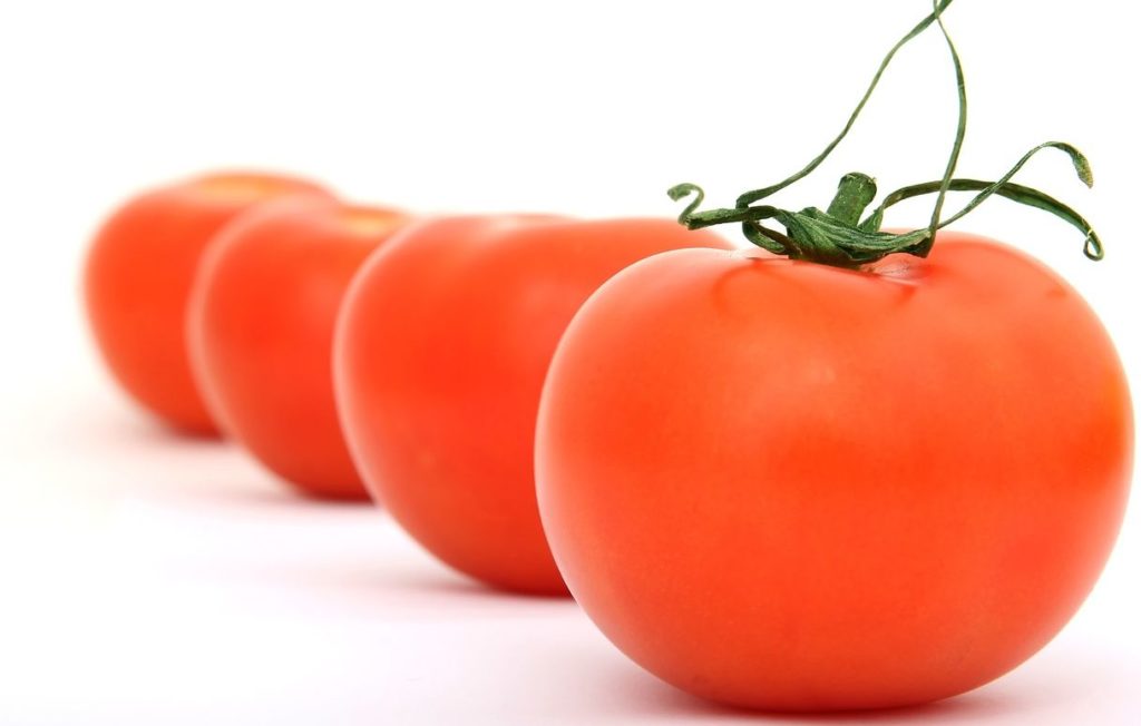 1º de fev.: Dia do Tomate: fonte de vitaminas e nutrientes, a fruta possui ação antioxidante e anti-inflamatória