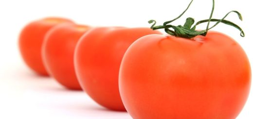 1º de fev.: Dia do Tomate: fonte de vitaminas e nutrientes, a fruta possui ação antioxidante e anti-inflamatória
