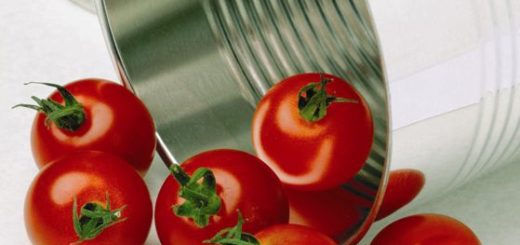 Dia do tomate: conheça as diferenças das versões enlatadas do fruto