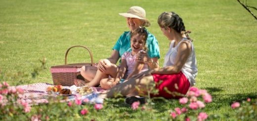Ideia para Dia das Mães: Aprenda a fazer uma cesta de piquenique e presenteie sua mãe com uma experiência acessível e criativa
