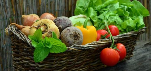 Alimentação saudável no Outono: Conheça cinco alimentos orgânicos para comer durante a estação