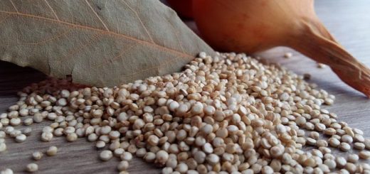Conheça os benefícios da quinoa