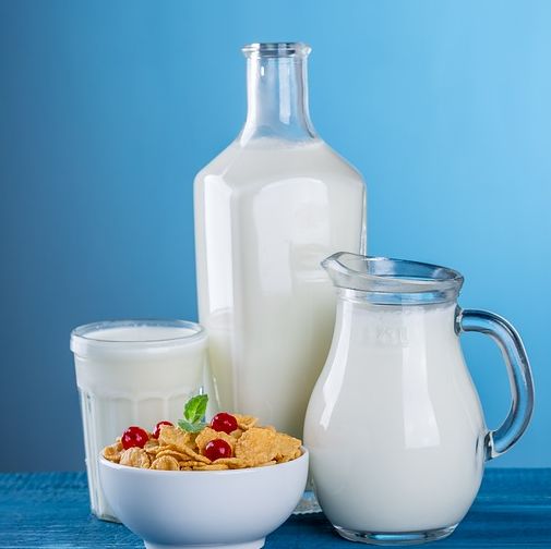 Lácteos e proteicos: por que os iogurtes, pastas e queijos são importantes na alimentação