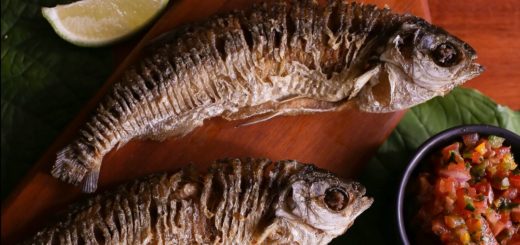 Bio Pescados da Amazônia traz os melhores peixes do Norte do país para a BIO BRAZIL FAIR