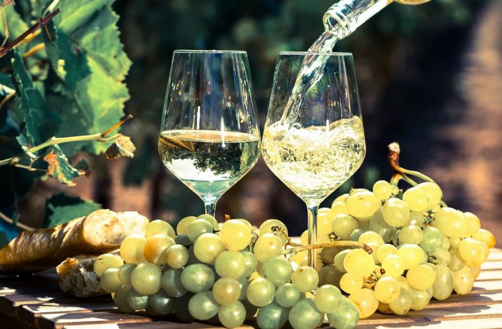 Wine celebra o Dia Internacional da Sauvignon Blanc com dicas e opções de harmonização