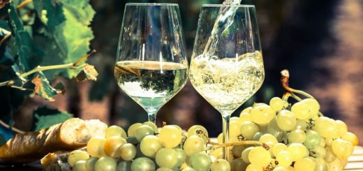 Wine celebra o Dia Internacional da Sauvignon Blanc com dicas e opções de harmonização