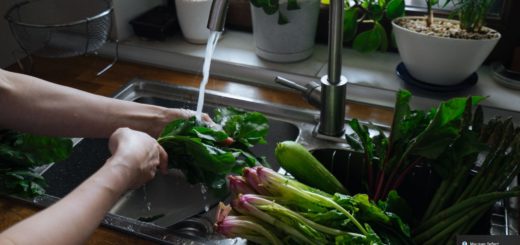 Sete erros comuns na higienização e conservação dos alimentos