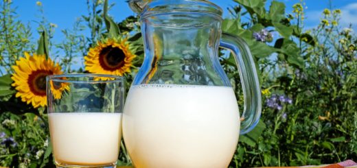 Saúde e bem-estar: a importância dos lácteos na prevenção de doenças