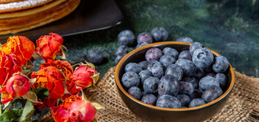 Mirtilo: a fruta que impede o acúmulo de gordura da idade e promove melhora geral da saúde