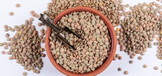 Descubra 7 fatos curiosos sobre a lentilha