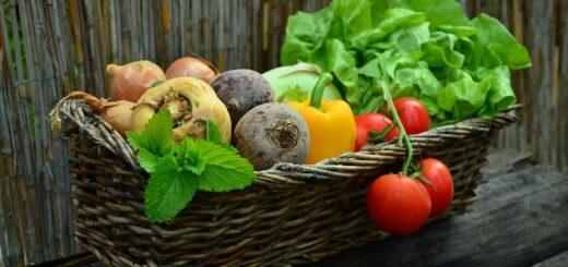 Soluções para combater o desperdício de alimentos nos restaurantes