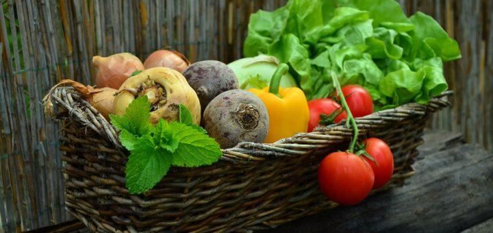 Soluções para combater o desperdício de alimentos nos restaurantes