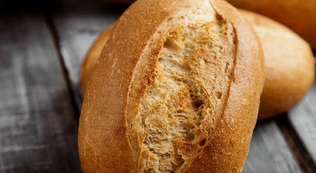 Pão francês, M. Dias Branco esclarece três mitos para os profissionais do alimento