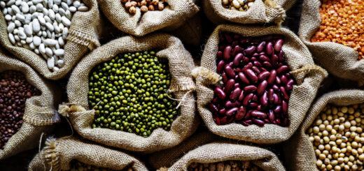 Leguminosas são fonte de proteína e sustentabilidade
