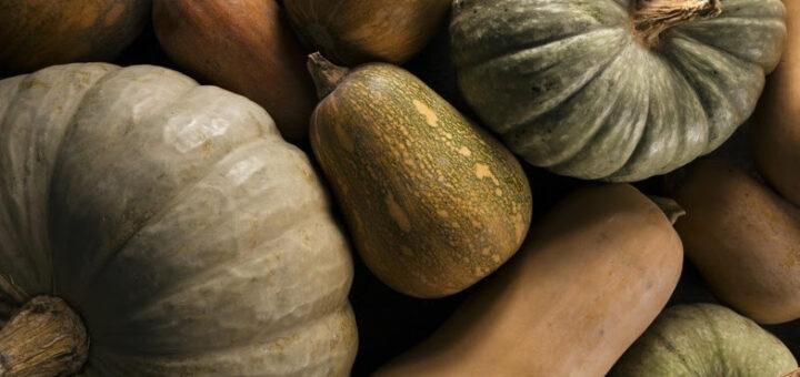 Descubra nove tipos de abóbora para diversificar nas receitas 