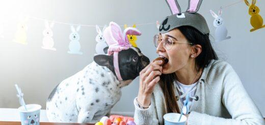 Meu cachorro pode comer ovo de Páscoa? Veterinária explica que o consumo pode ser fatal