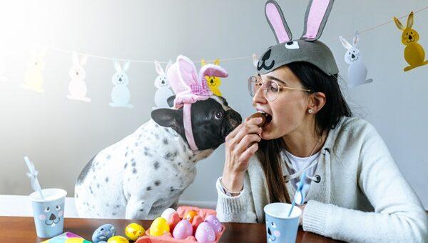 Meu cachorro pode comer ovo de Páscoa? Veterinária explica que o consumo pode ser fatal