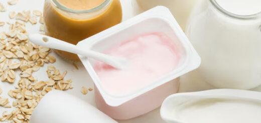 Alimentos probióticos: O que são, benefícios e recomendações