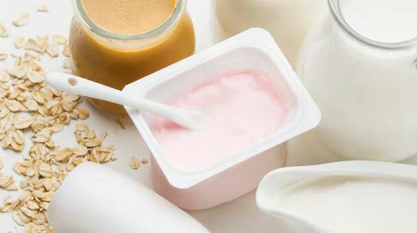 Alimentos probióticos: O que são, benefícios e recomendações