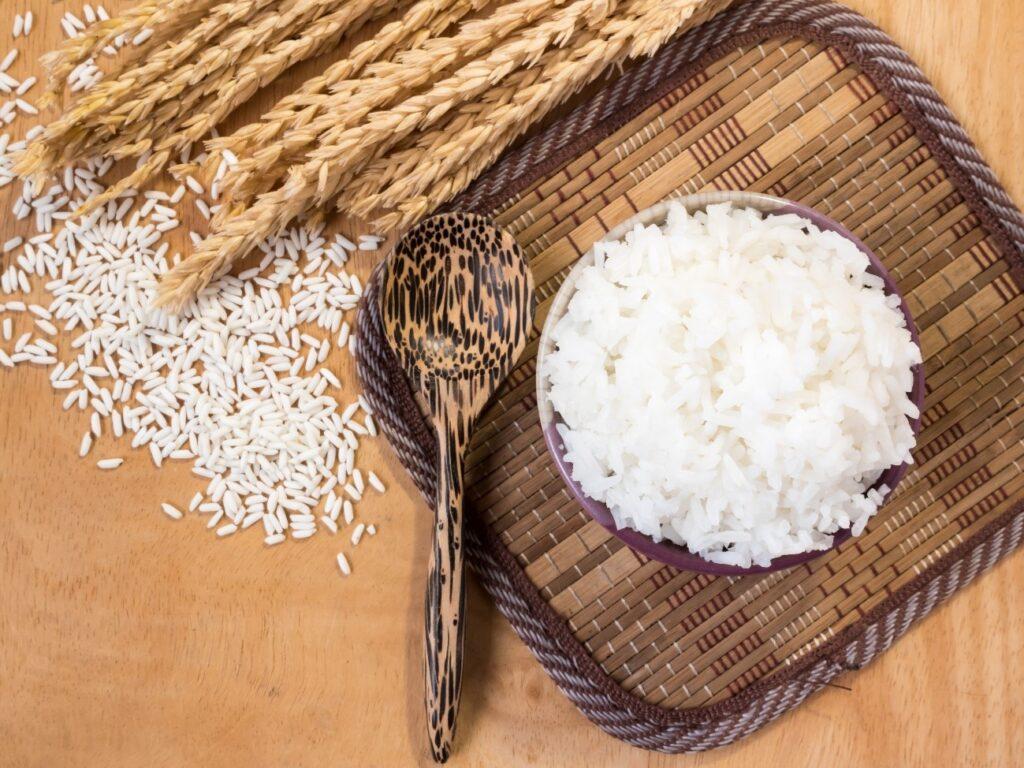 Arroz: conheça 4 diferentes utilizações desse grão versátil