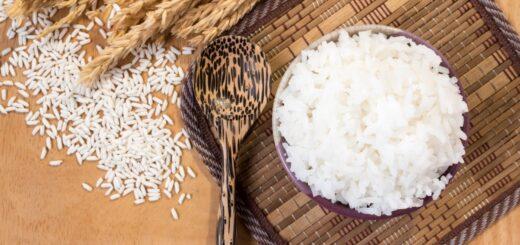 Arroz: conheça 4 diferentes utilizações desse grão versátil
