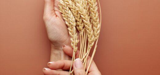 Dieta Celíaca: combinações saborosas e seguras para o dia a dia