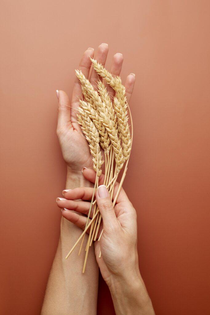 Dieta Celíaca: combinações saborosas e seguras para o dia a dia