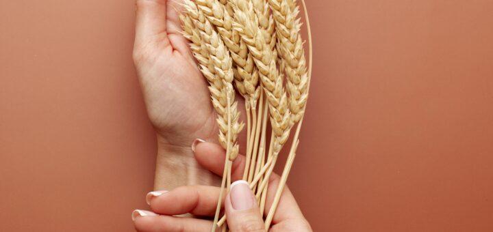 Dieta Celíaca: combinações saborosas e seguras para o dia a dia