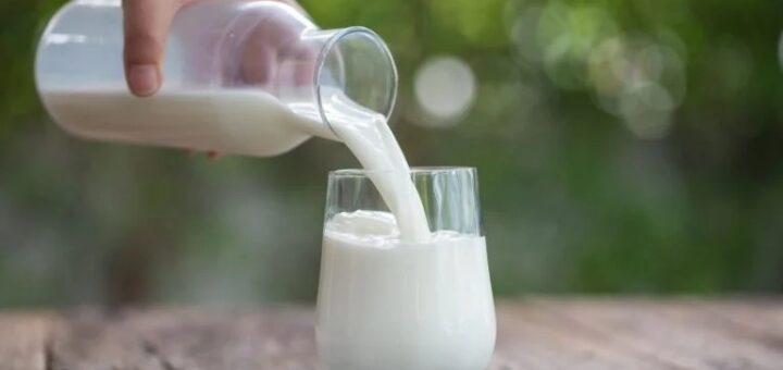10 motivos para incluir o leite na alimentação diária