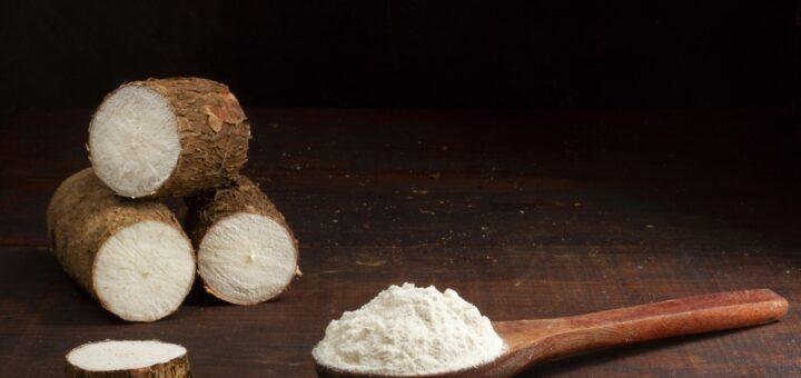 Saúde e sabor: 5 benefícios incríveis da tapioca