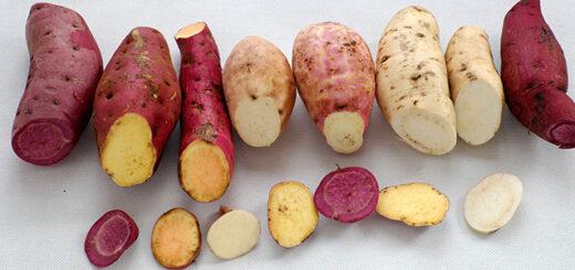 Batata-Doce: 8 Razões para Incluir Esse Superalimento na Sua Dieta