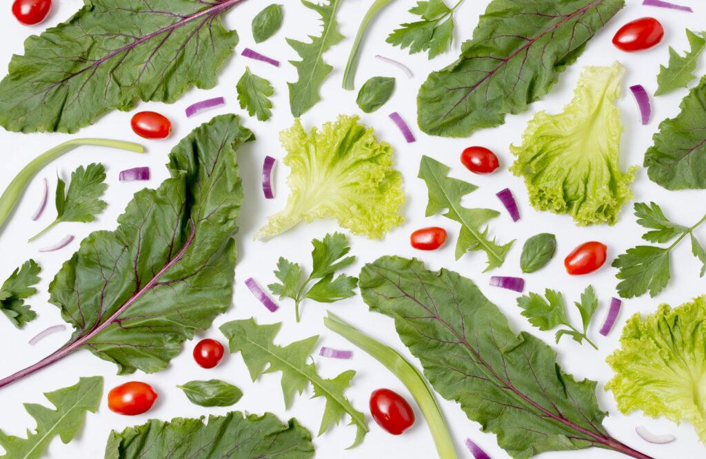 Conheça as plantas que podem decorar sua casa (e ainda matar sua fome)