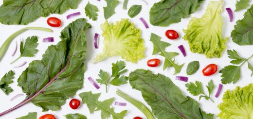 Conheça as plantas que podem decorar sua casa (e ainda matar sua fome)