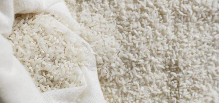 Arroz na medida certa: descubra o tipo de grão ideal para valorizar diferentes pratos