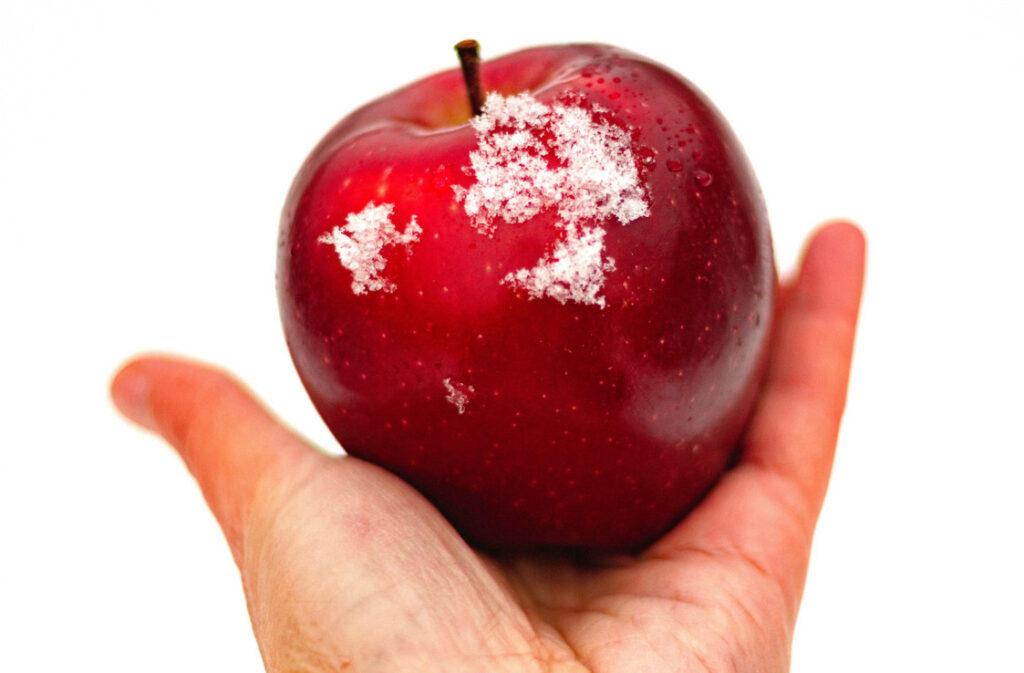 Nutricionista dá 6 alertas para quem quer congelar frutas, especialmente durante as estações mais quentes do ano