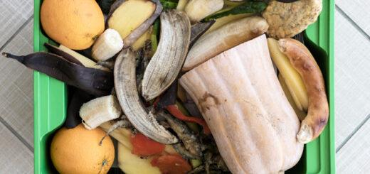Consumo consciente: 6 dicas da Água Doce Sabores do Brasil para reduzir desperdícios e valorizar os alimentos no dia a dia