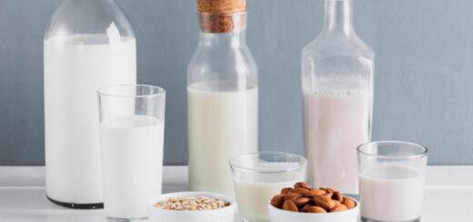 Integral, desnatado e vegetal: conheça 6 tipos de leite e saiba como incluí-los na alimentação e receitas 