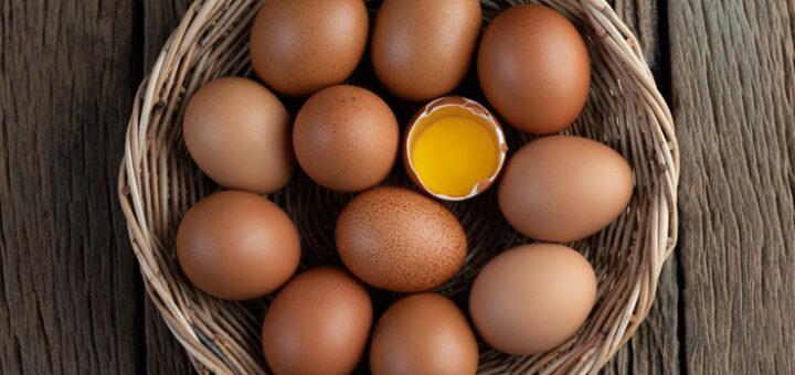 Quatro receitas práticas com ovos e os benefícios que você talvez não saiba