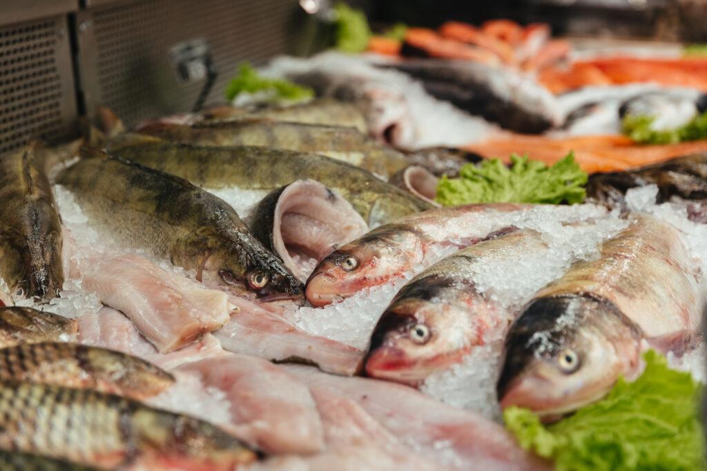 Dicas para o verão: como incluir o consumo de pescados na alimentação do dia a dia