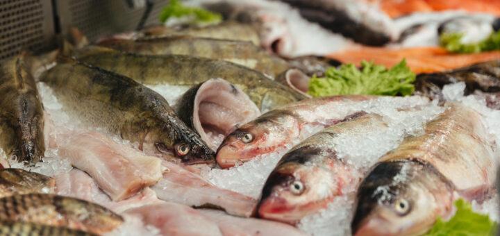 Dicas para o verão: como incluir o consumo de pescados na alimentação do dia a dia