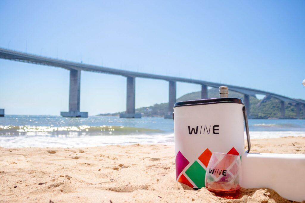 Férias: dicas para transportar e curtir vinhos em viagens