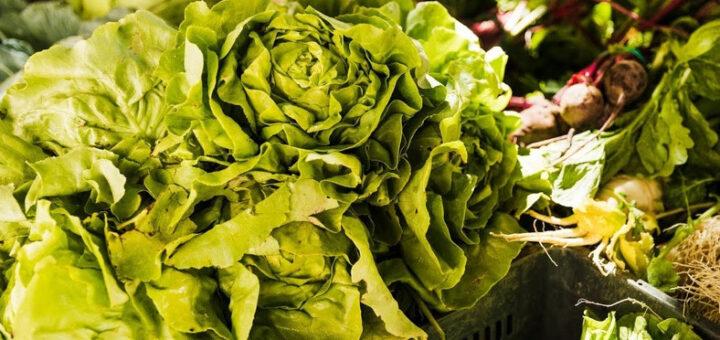 Alimentos para plantar em casa e fazer um detox natural no verão