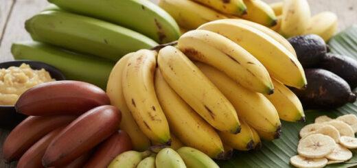 Do prato principal à sobremesa: conheça os tipos de banana e como usar cada um na cozinha 
