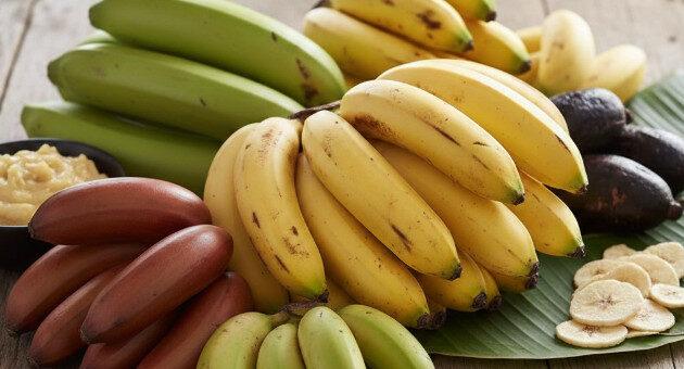 Do prato principal à sobremesa: conheça os tipos de banana e como usar cada um na cozinha 