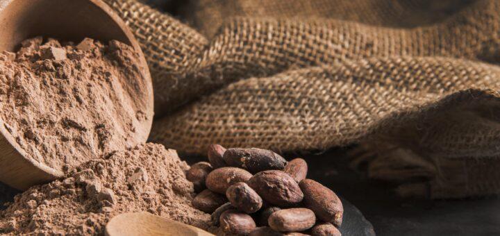 Cacau: celebremos este alimento que já foi considerado um presente dos deuses