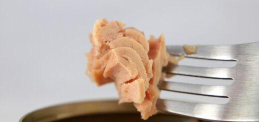 Alimentos enlatados ricos em proteínas são acessíveis e fornecem também outros nutrientes