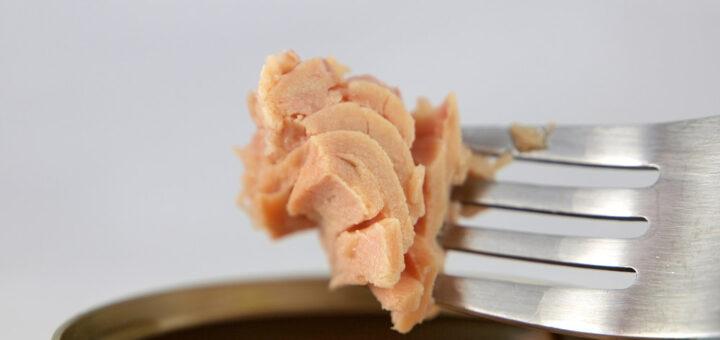 Alimentos enlatados ricos em proteínas são acessíveis e fornecem também outros nutrientes