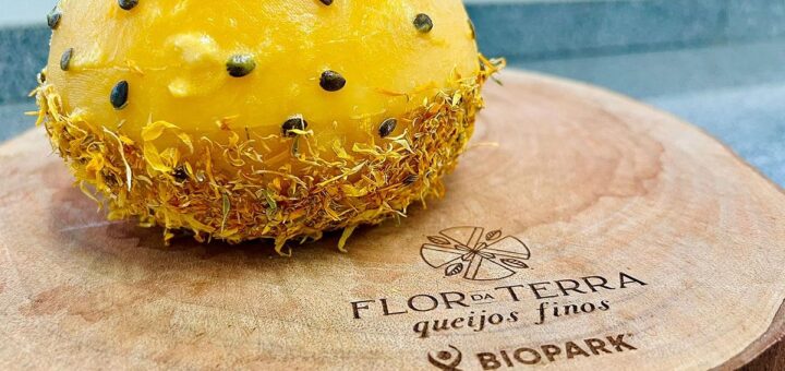 10 curiosidades surpreendentes sobre o alimento mais versátil do mundo