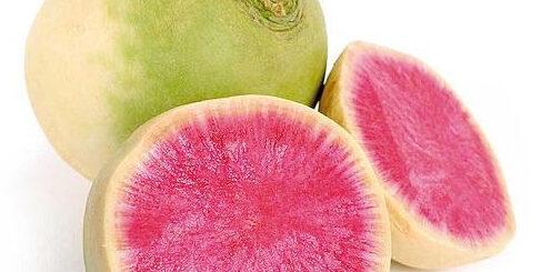 Do colorido das cenouras ao rabanete melancia: o que plantar em julho